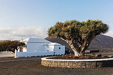 《铲子骑士：口袋地牢》12月上市 已准备好3个DLC